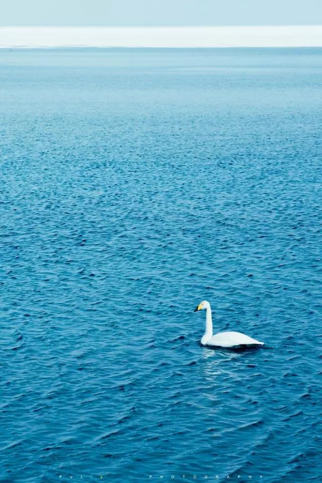 回顾：旧梦之域，新辟之疆‖这是一个让我魂萦梦绕的地方