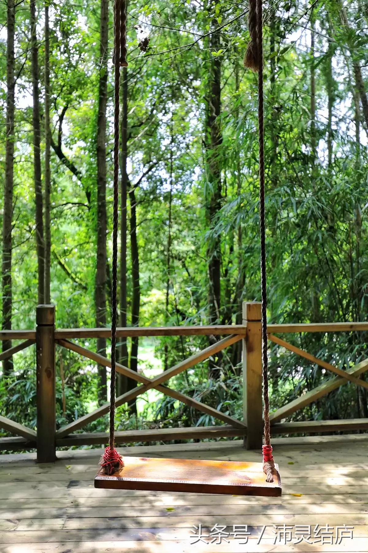 如果你只有一天的时间去乐山,如果你只有两天时间游南京