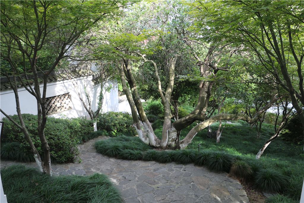 品农家菜肴田园生活,嘉兴南北湖农家乐推荐