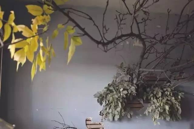 破败的房子重新焕发生机,原本破旧的房子变得焕然一新