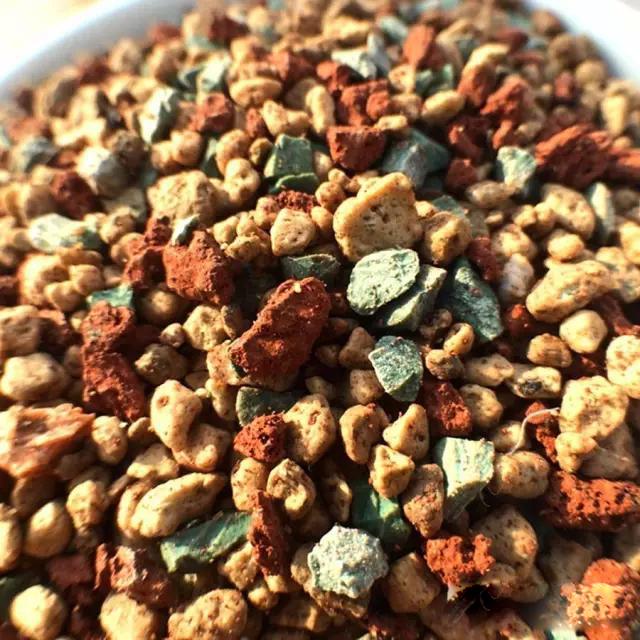 多肉配土为什么加稻壳炭,多肉配好的营养土