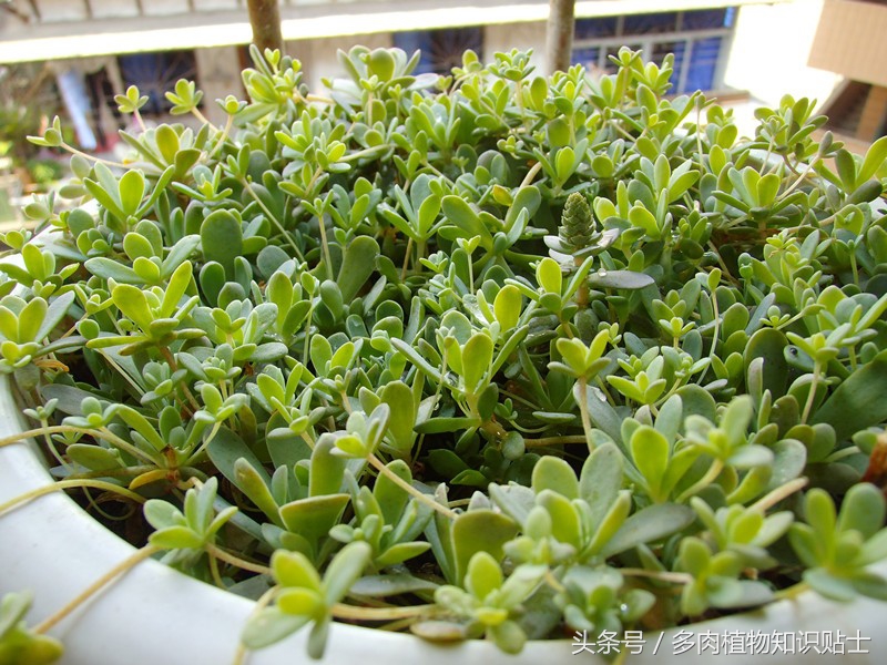 数不尽的岁月,数不尽的岁月的沉淀