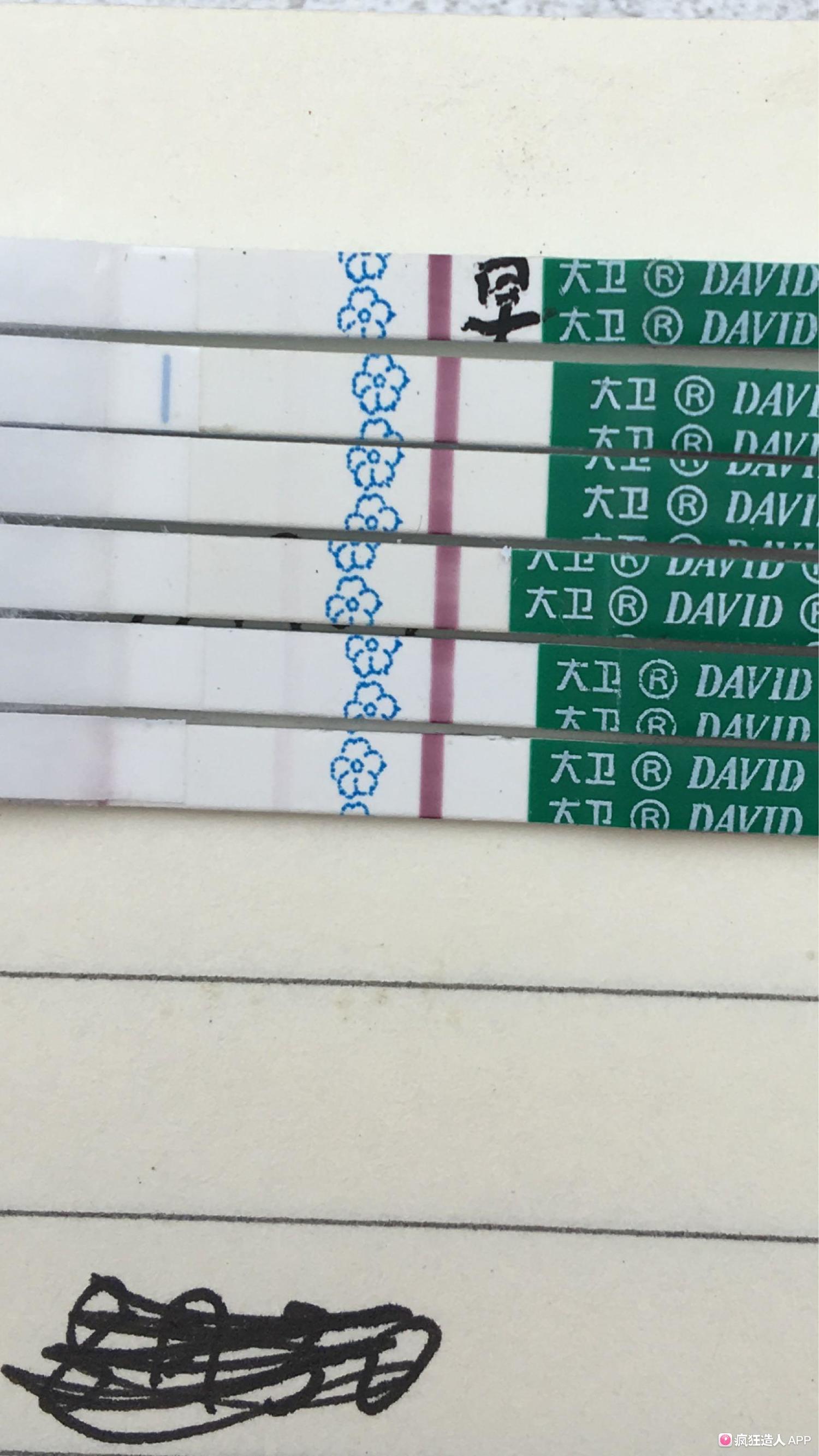 试纸昨天加深了今天没有加深,刚开始是不是试纸加深都慢