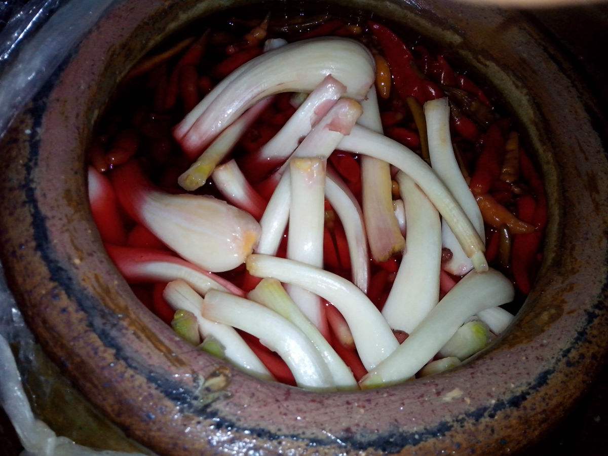 四川正宗老坛泡菜做法教程,第一坛四川泡菜最正宗的做法