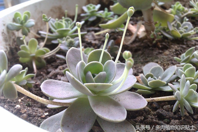 数不尽的岁月,数不尽的岁月的沉淀