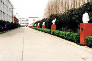 那些年我的校园生活,那些年的师范生