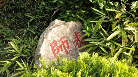 那些年我的校园生活,那些年的师范生