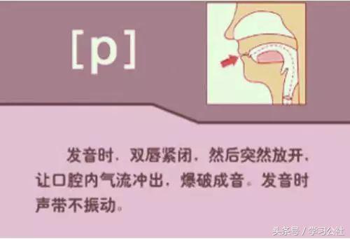 夏沫英语48个音标教学视频,英语音标教学视频48个快速记忆法
