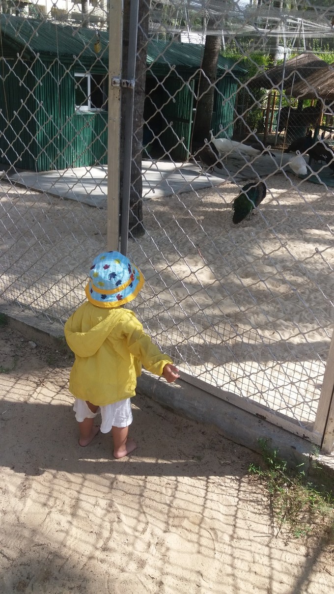 带着小锦宝宝第一次远门三亚游