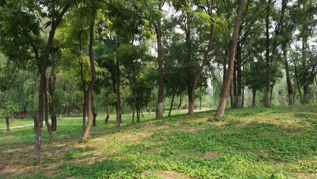 小米mix2专业评测,曝小米mixfold2参数