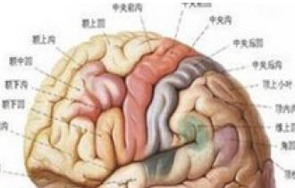 脑垂体腺瘤最新治疗,脑垂体腺瘤如何治疗