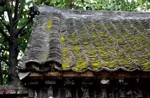 杨凌和杨陵什么关系,杨凌高凤香老师