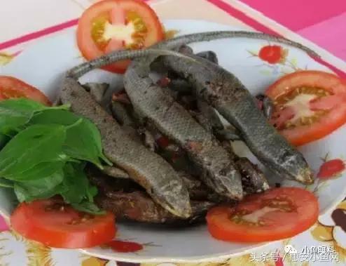 在闽南不仅有四脚蛇，还有四脚鱼，也叫“中国火龙”！