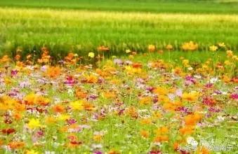 广西深秋好看的地方,广西的秋天哪里风景最美