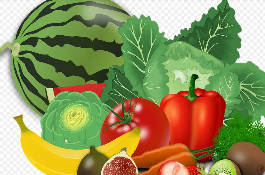 孩子挑食的危害视频,孩子偏食挑食的妙招