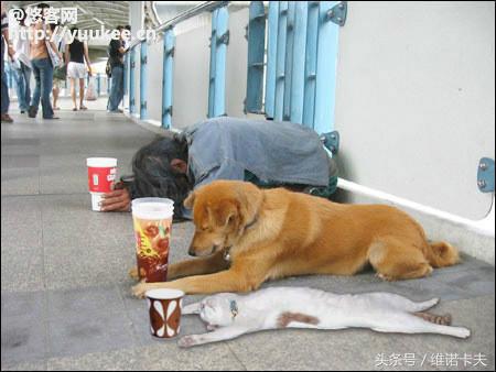 我的生活方式是什么样的,我的生活方式英语演讲