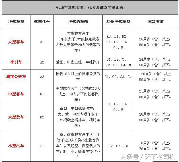 什么驾照能开什么车型图片,哪些驾照能开c1车型