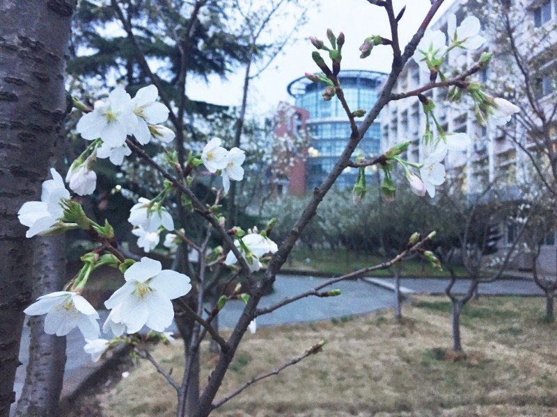 你不该错过歌曲,你不应错过的十大原创好文