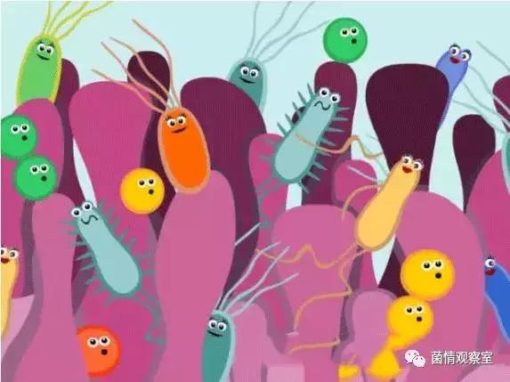 益生菌可以随便吃吧 (益生菌有话说)