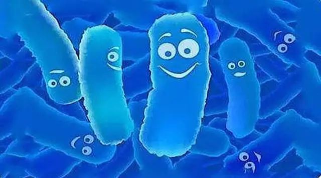 益生菌不能乱吃宝宝脾胃虚,中国台湾宝宝益生菌吃多久才有效