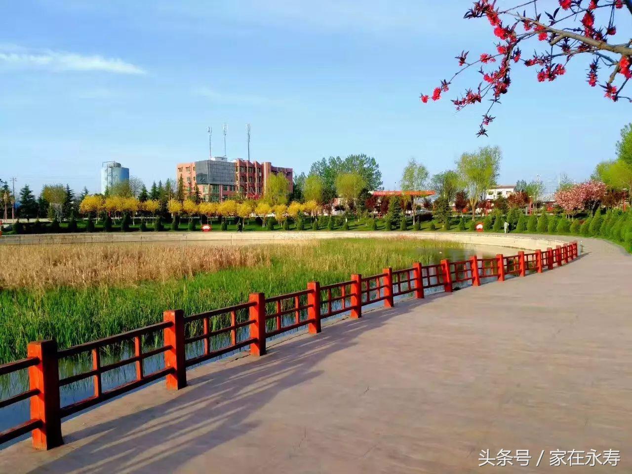 涓浗澶╃劧姘у惂闄曡タ姘稿,姘稿澶╃劧姘у惂