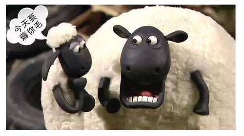 替跑半马,替跑有什么用