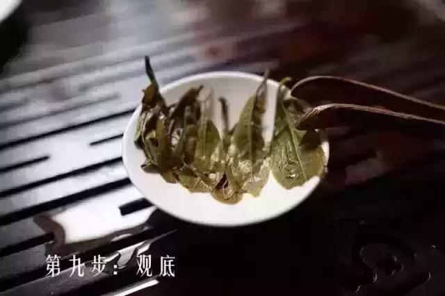 最简单实用的普洱茶解茶小技巧,普洱茶茶饼冲泡步骤说明