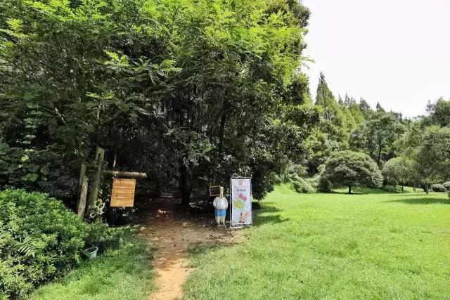 武夷山最值得住的酒店,武夷山哪个民宿舒服