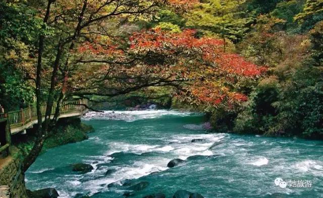 在重庆国庆中秋哪里耍,国庆来重庆一定要做的20件小事