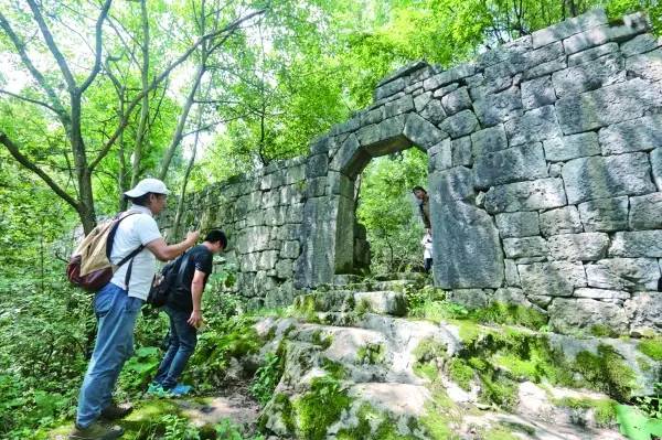 凤冈遵义茶,贵州遵义凤冈锌硒茶