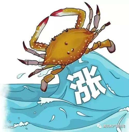 蟹笼捕蟹全过程,大型捕蟹笼抓蟹全过程