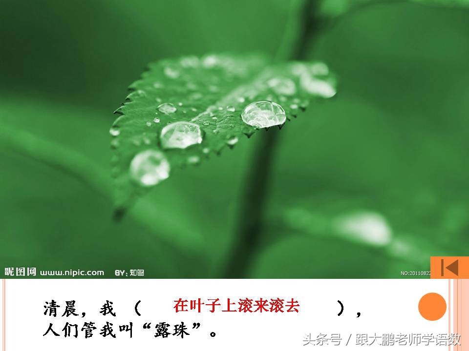 部编版二年级语文下册第一课课文,部编版二年级语文上册第二课视频