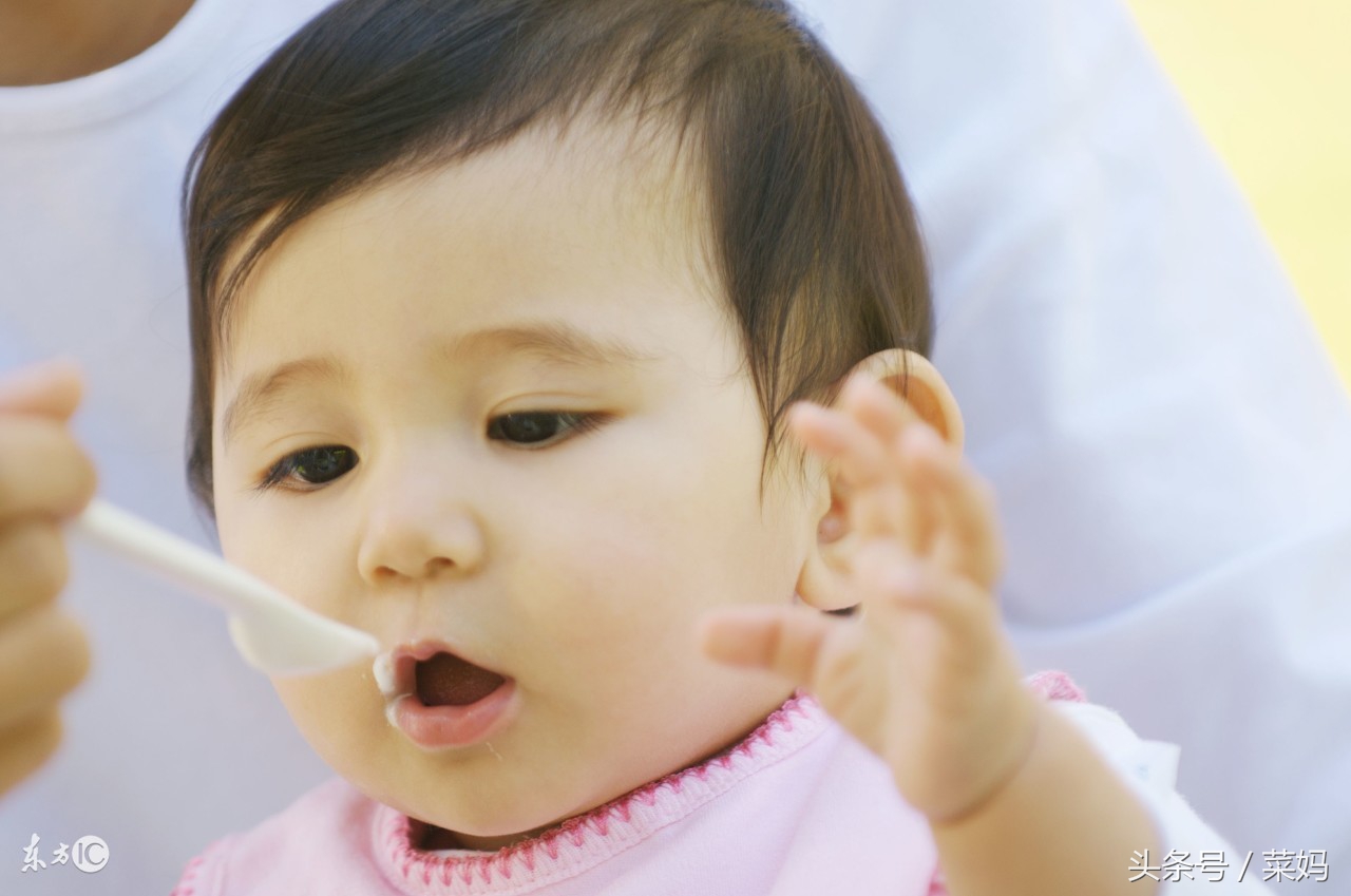 日本辅食工具实用大全图解,辅食工具品牌排行榜前十名