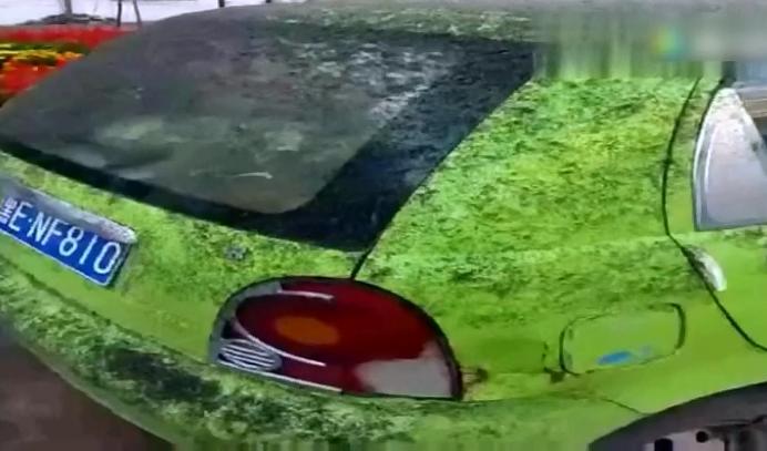 小咬生命力顽强吗,小咬最有效的治疗方法