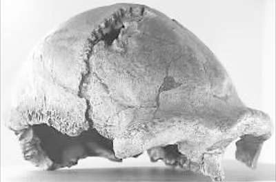 慈禧最珍贵的夜明珠,慈禧夜明珠是两半的吗真品下落