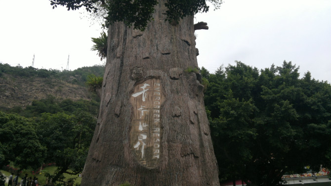 深圳青青世界图片,深圳青青世界校服