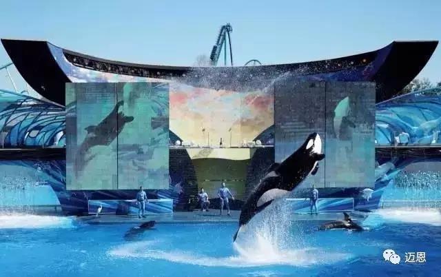 为什么要去奥兰多旅游,奥兰多旅游需要住哪里