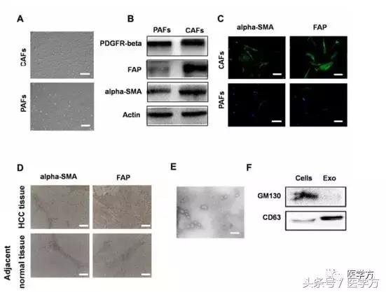 国自然标书参考文献格式,国自然标书引用参考文献的格式