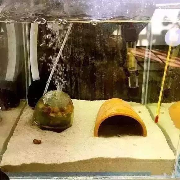 家装水景鱼缸造型全景,家居水景大号