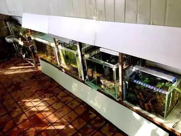 家装水景鱼缸造型全景,家居水景大号