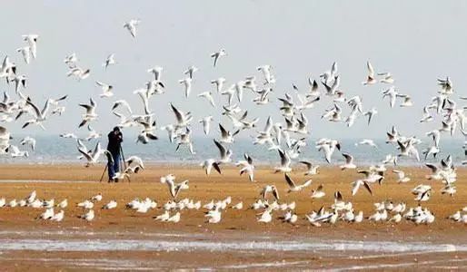 秦皇岛秋景最好的地方 (秦皇岛周边十月赏秋色的地方)