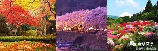 箱根十大温泉酒店排名,箱根泡温泉哪个酒店有名