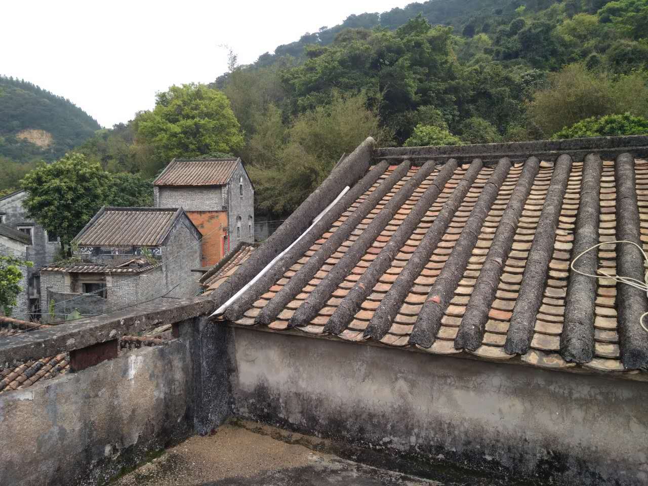 沙田村旅游攻略,广东东莞乡村休闲体验季