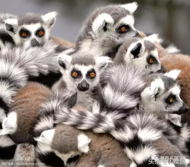 怎么样才能避免运动时脚崴,脚踝经常外翻崴脚用什么护踝