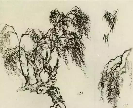 怎么画树最简单而且还最好看,怎么样才能画树画的最好看