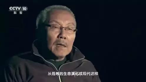 中国天眼fast天眼,放弃300倍高薪回国的人