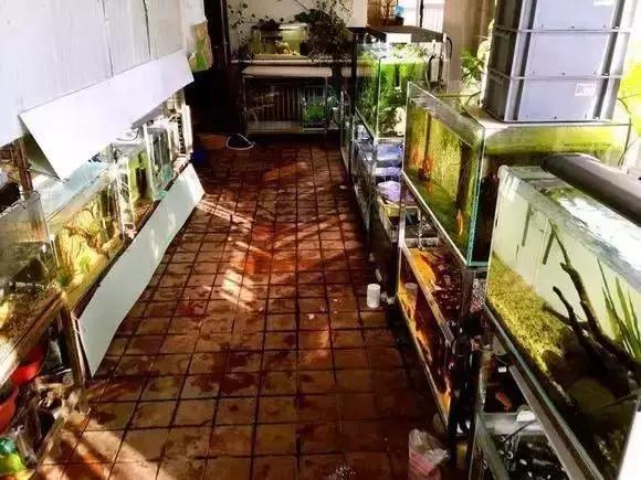 家装水景鱼缸造型全景,家居水景大号