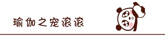 那个姑娘，我们想从天而降地研究一下你减肥的动力