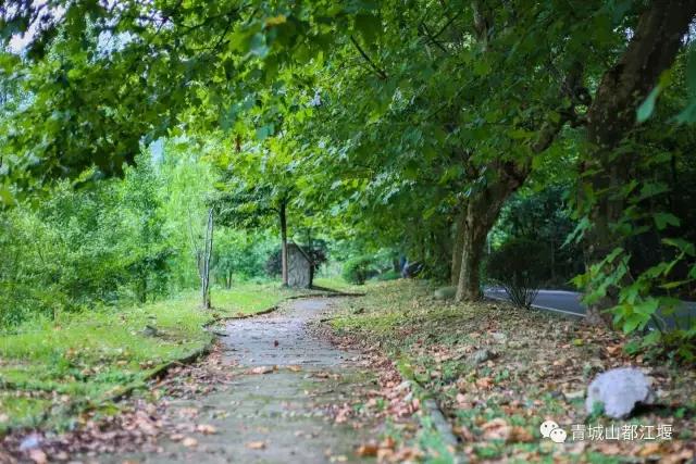 四川旅游一条很直的公路,四川唯一一条有路灯的高速公路