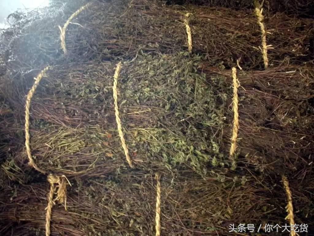 烧仙草还是龟苓膏好吃,烧仙草为啥叫烧仙草龟苓膏